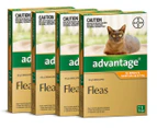4 x Advantage For Kittens & Small Cats Up To 4kg