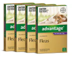 4 x Advantage For Cats Over 4kg