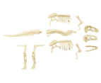 Smithsonian T.Rex Fossil Kit