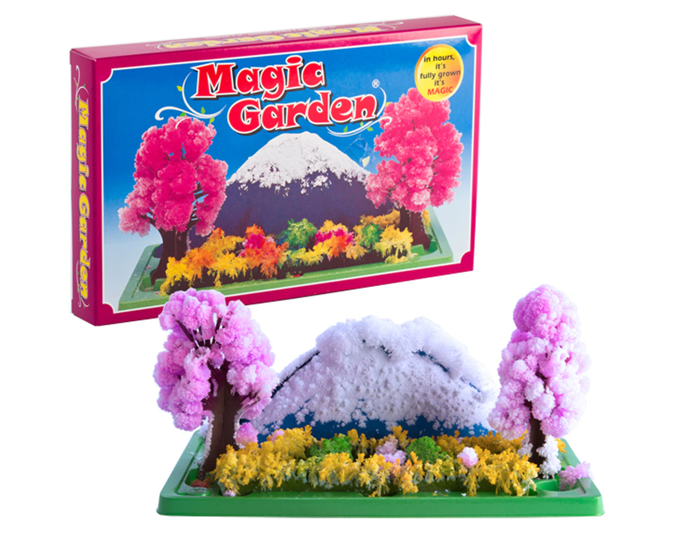 Grow Magic Garden Set