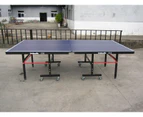 Xushaofa Championship Table Tennis Table / Ping Pong Table- 19mm