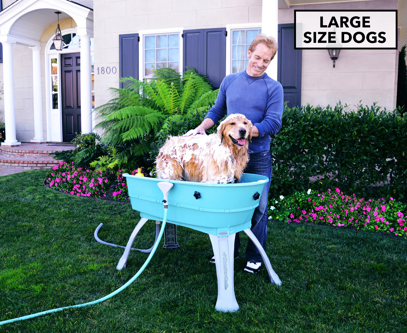 Combo Model:BB-XL-Step Booster Bath Elevated Pet Bathing X-Large with Step Combo Teal 