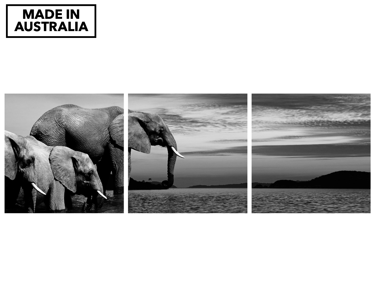 African Savanna Elephant 40x40cm Triptych Canvas Wall Art - Black