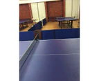 Table Tennis / Ping Pong Court-side Barrier