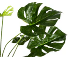 Botanica 80cm Artificial Monstera Plant - Green