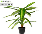 Botanica 90cm Artificial Dracaena Plant - Green