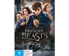 Fantastic Beasts [DVD][2016]
