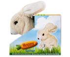Hoppy The Bunny Toy