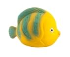 caaOcho La the Butterfly Fish | Natural rubber bath toy 2