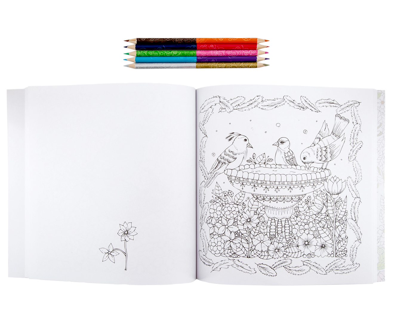 Colorama The Magic Path Adult Coloring Book with bonus pencil set AS SEEN  ON TV