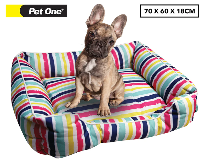 Pet One Rainbow Pet Bedding Square - Medium