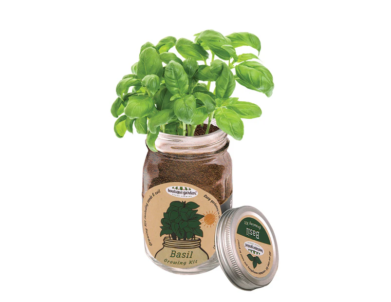 Boutique Garden Mason Jar Basil Growing Kit