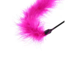 Cat Toy Feather Wand K9 Homes Dancing Exciting Colours Stimulating