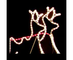 Santa Sleigh with 4 Reindeer Christmas Light Display