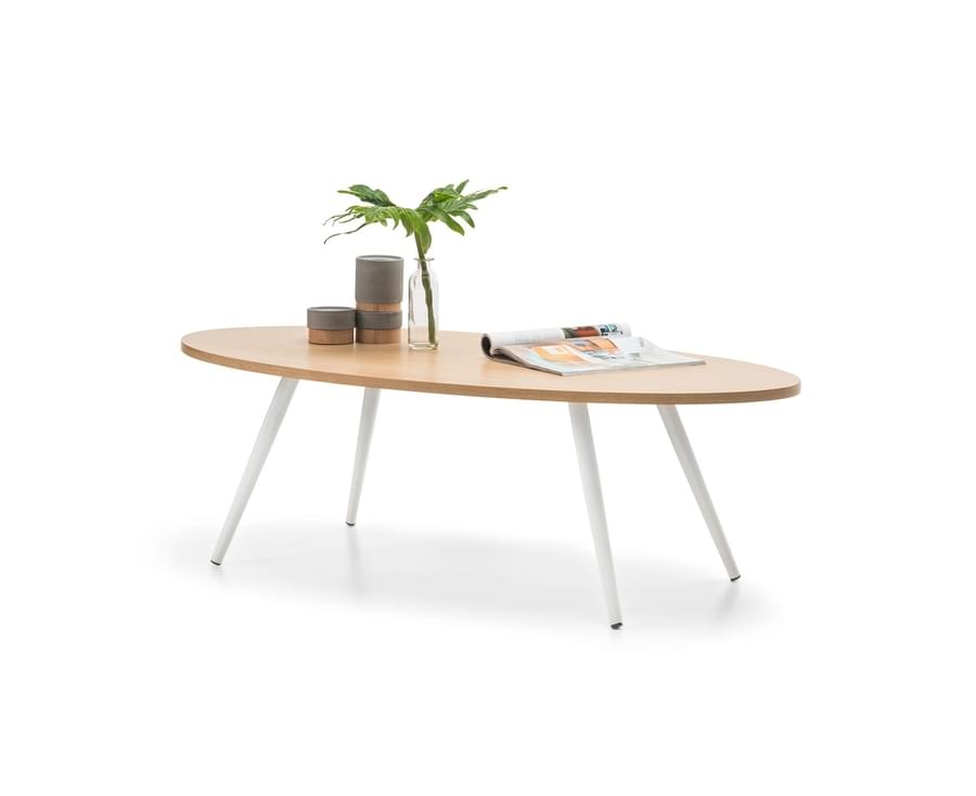 Scandinavian Oval Coffee Table