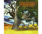 Groundation - Young Tree  [COMPACT DISCS] USA import