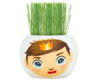 Mr. Fothergill's Boutique Garden Magic Kingdom Grass Hair Kit - Prince