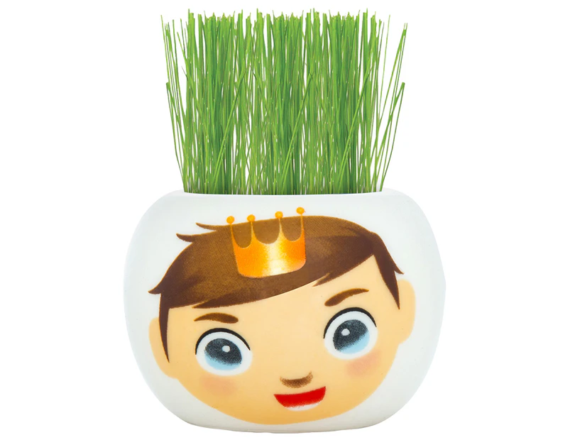 Mr. Fothergill's Boutique Garden Magic Kingdom Grass Hair Kit - Prince