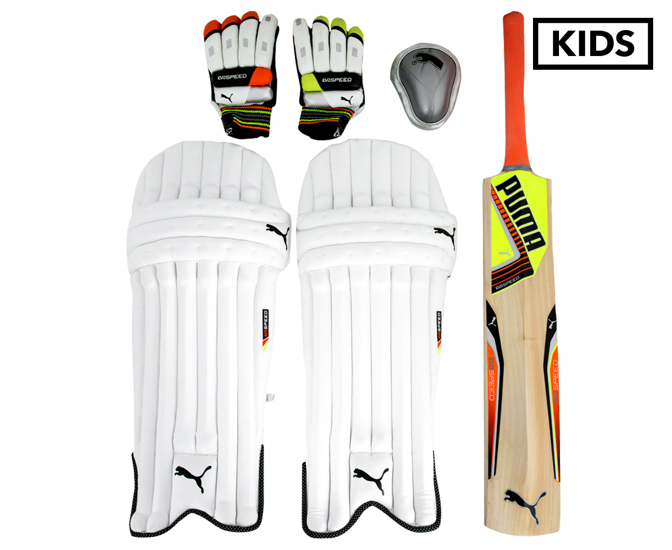 puma evospeed 2 cricket set