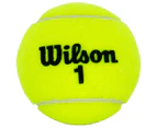 Wilson Championship Tennis Balls 4-Pack - Yellow