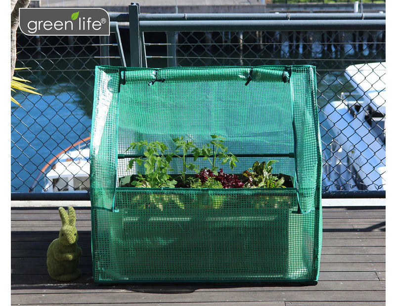 Greenlife 880x820mm Mini Drop Over Greenhouse - Green