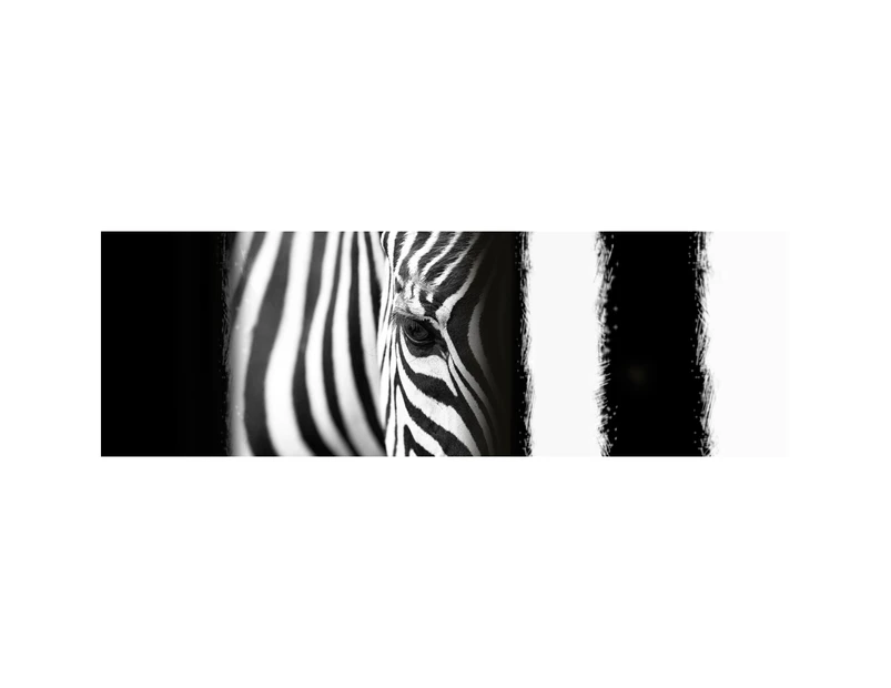 Zebra Eye Arty, B&W Wall Art Canvas Print
