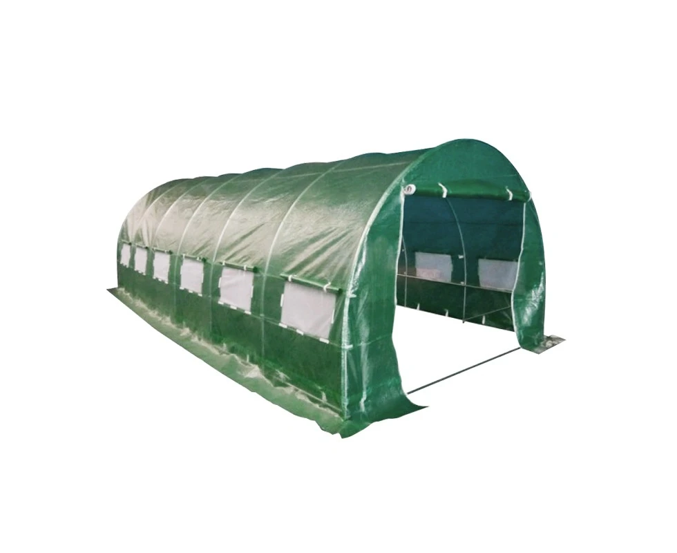 6m x 3m Heavy Duty 0.8x25mm Galvanised Frame Walk-in PE Polytunnel Greenhouse