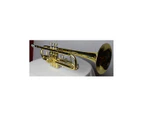 Axiom Beginners Trumpet Outfit - School Band