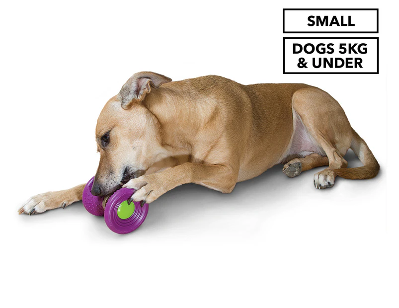 Busy Buddy Small Ultra Woofer Chew Toy - Multi