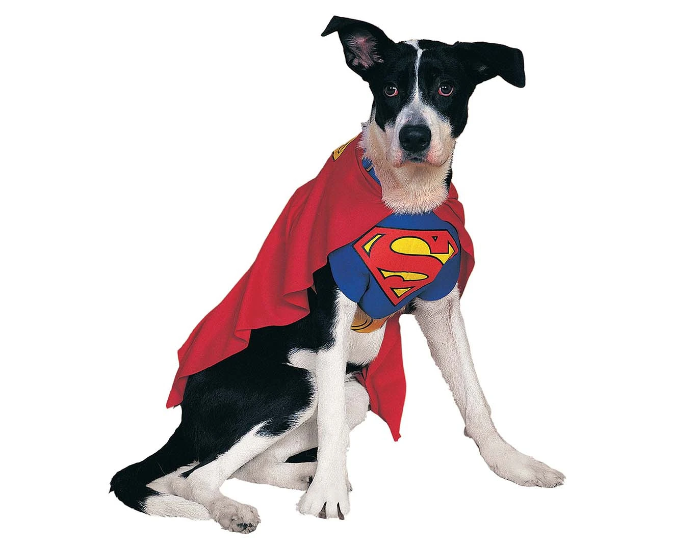 Rubie's Deerfield Medium Superman Classic Dog Costume - Red/Blue/Gold