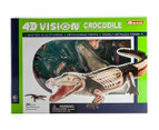4D Vision - Crocodile anatomy model