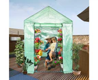 Walk In Greenhouse Garden Plant Shed PE PVC Cover Arch Roof Tunnel