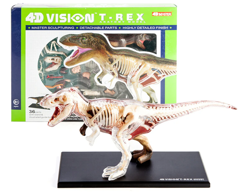 4D Vision - T-Rex anatomy model