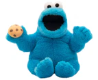 Sesame Street Talking Cookie Monster Puppet