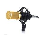 Fashion Round Head Microphone Stage Mic +Shock Mount BM800 Black+Glod