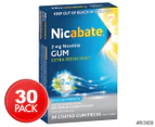 Nicabate 2mg Nicotine Extra Fresh Mint Chewing Gum 30pk