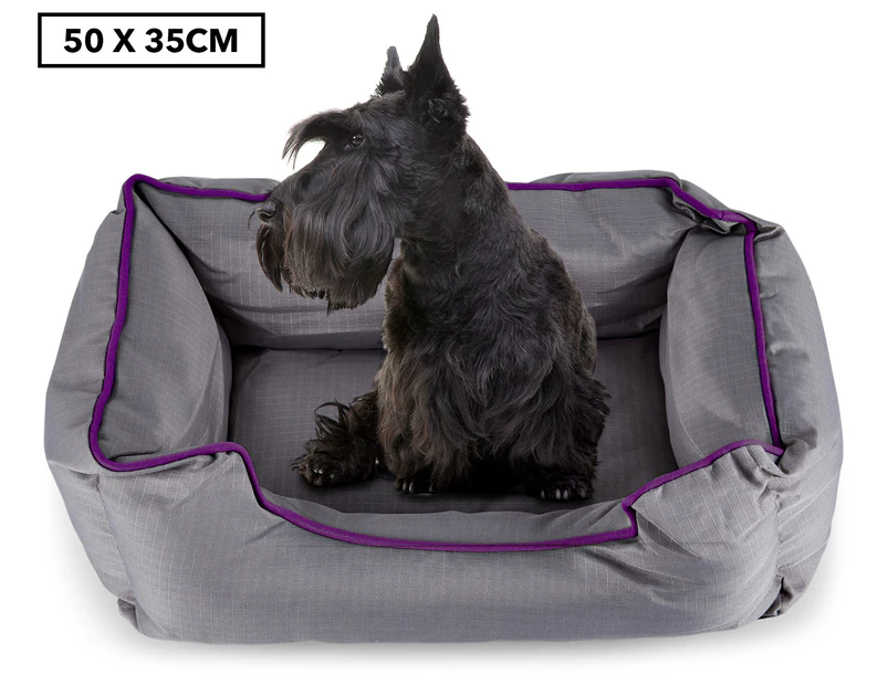 Paws & Claws Canvas Pet Bed - Grey/Purple 