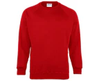 Maddins Kids Unisex Coloursure Crew Neck Sweatshirt / Schoolwear (Red) - RW841