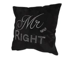 Panache Mr Right Design Sparkle Cushion Cover (Cushion Pad Not Included) (Black) - MS533