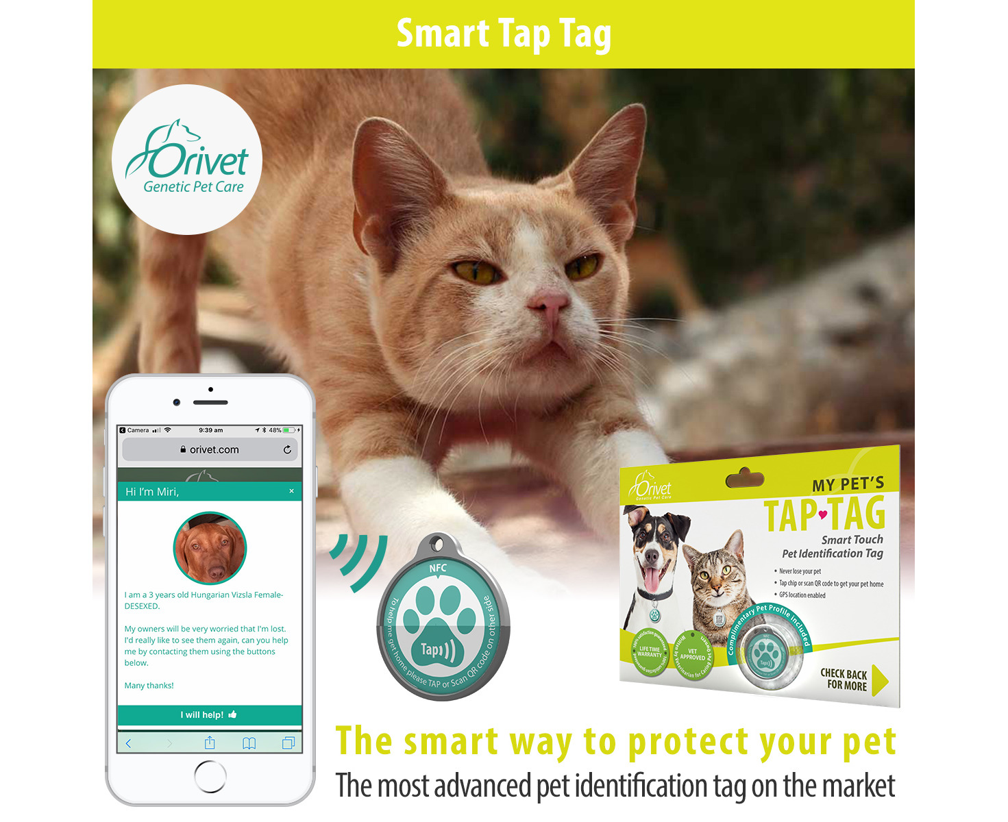 Pawscout Smart Bluetooth Pet Tag And Tracker, Includes Battery ...