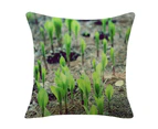 Seedlings on Green Plants Cotton Linen Cushion Cover