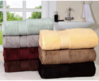 2 x Luxury Zero Twist Cotton 650GSM Bath Towel- Rust