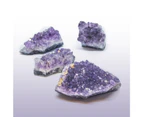British Fossils Set of 4  Collectable Natural Amethyst Gemstone Crystal Cluster Healing Quartz Stone