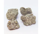 British Fossils Set of 4 pieces of Natural Fool's Gold Iron Pyrite Crystal Stone Nugget Mineral Specimen