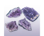 British Fossils Set of 4  Collectable Natural Amethyst Gemstone Crystal Cluster Healing Quartz Stone