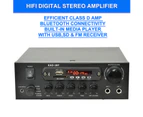 KAD-2BT DJ PA HiFi Digital Stereo Amplifier Bluetooth USB SD FM Class D 110W 2 x Mic