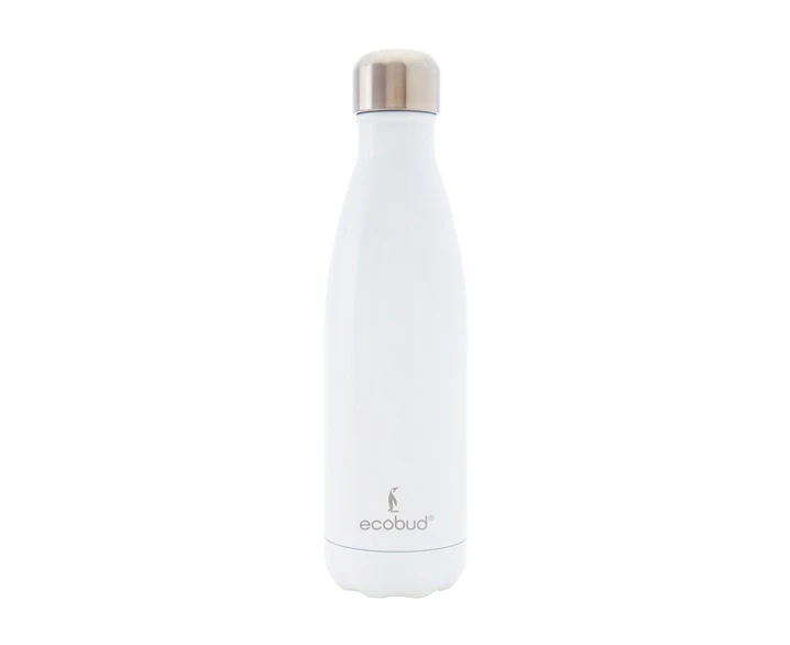 Ecobud Insulated Stainless Steel Water Bottle (White)