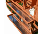 Tinnapets Large Classic Double Story Rabbit Hutch with Double Trays