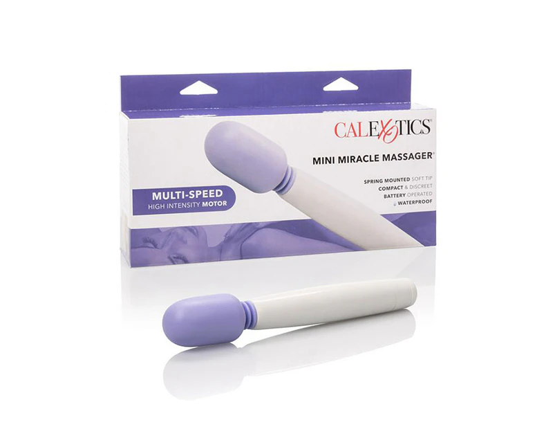 Mini Miracle Massager Wand Purple Catch .nz