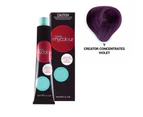 RPR MyColour Permanent Hair Colour Dye in V Violet 100ml